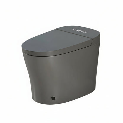 Smart Toilet with Bidet Built In, ADA One-Piece Toilet Auto Open/Close & Flush, Heated Seat, Front & Rear Wash, LED Display, Night Light, 12-Inch Rough-In (Matte Grey)
