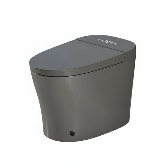 Smart Toilet with Bidet Built In, ADA One-Piece Toilet Auto Open/Close & Flush, Heated Seat, Front & Rear Wash, LED Display, Night Light, 12-Inch Rough-In (Matte Grey)